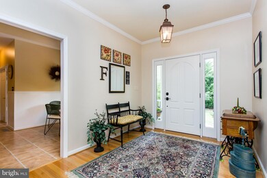 9100 Wood Ibis Ct, Spotsylvania, VA 22553 - photo 5