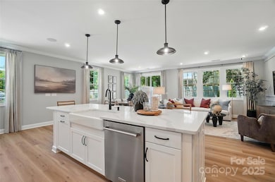 12111 Lavinia Ln, Charlotte, NC 28277 - photo 7