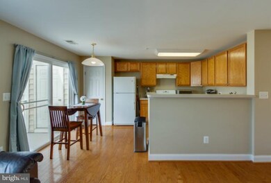 42273 Terrazzo Terrace unit 616, Stone Ridge, VA 20105 - photo 6