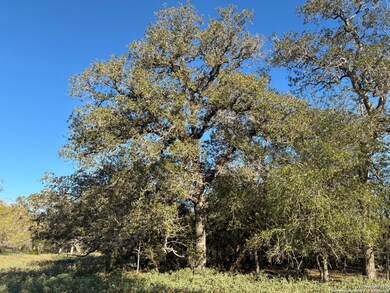 295 Batey Rd, Seguin, TX 78155 - photo 3