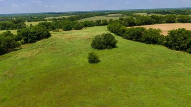 TBD County Rd 4040, Ector, TX 75439 - photo 6
