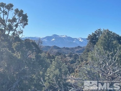 40S Se4nw4-S16 18n 21e, Virginia City, NV 89521 - photo 6