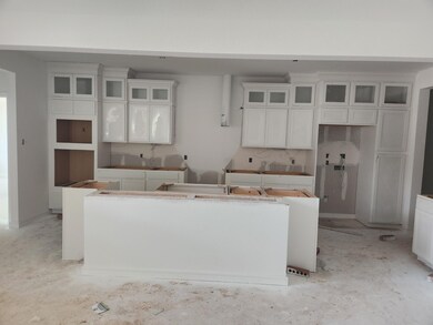 Lovely island kitchen - still under construction!