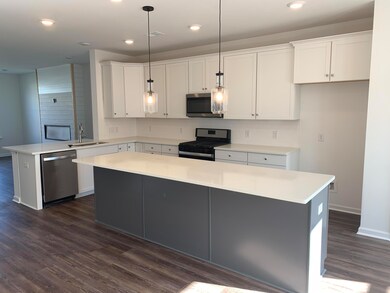 RP 19 Kitchen 2
