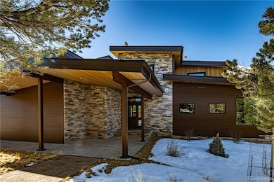 21261 Broadview Rd, Nathrop, CO 81236 - photo 4