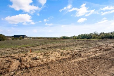 212 Dan Russell Bend, Weatherford, TX 76087 - photo 6