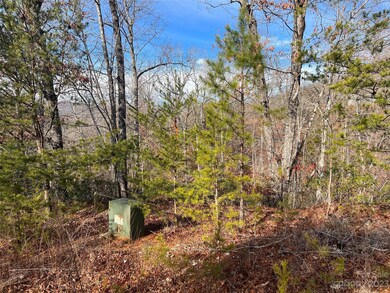 00 Dobsons Knob Loop Rd unit 32, Marion, NC 28752 - photo 6