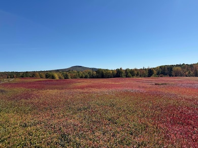 MAP31LOT29 Land-Perkins, Blue Hill, ME 04614 - photo 4