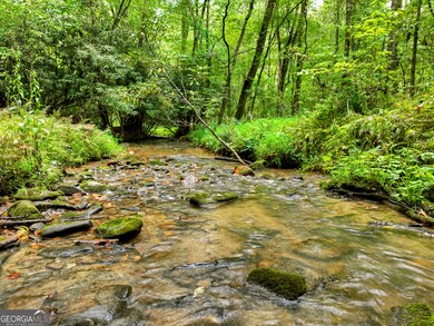 LOT 45 Synacia Dr, Mineral Bluff, GA 30559 - photo 3