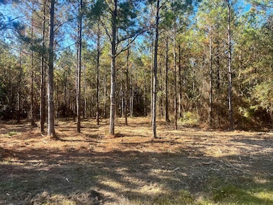 4) 64945-690cea53097db