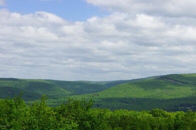 0 Flagstaff Rd unit PM-51073, Jim Thorpe, PA 18229 - photo 2