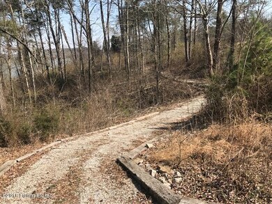 cart path to dock