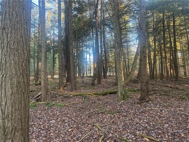 0 Thorpe Hill Rd, Masonville, NY 13838 - photo 5