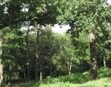 Land/Lot.