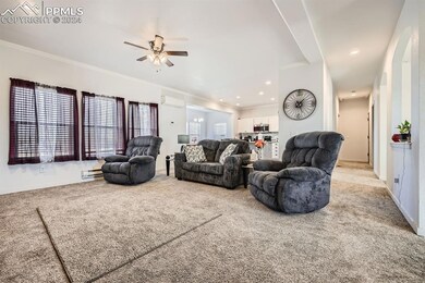 Living room with light carpet, a baseboard heating