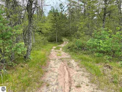 0 Esmond Rd unit 1890514, Hale, MI 48739 - photo 6