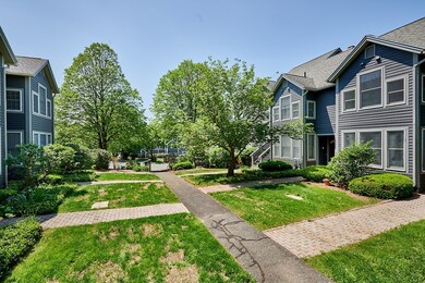 32 Amity Place, Amherst, MA 01002 - photo 3