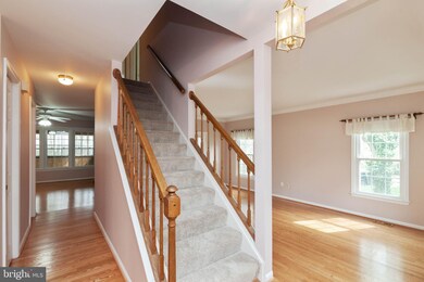 7703 Modisto Ln, Springfield, VA 22153 - photo 4