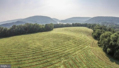 0 Jefferson Pike unit 1000240744, Knoxville, MD 21758 - photo 2