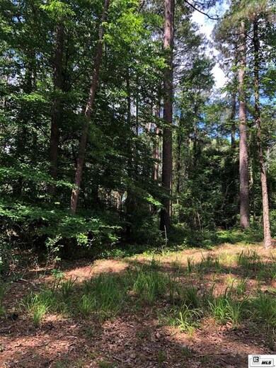 0 Claiborne Rd, Calhoun, LA 71225 - photo 3