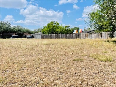 814 Park Dr, Donna, TX 78537 - photo 4
