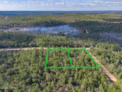 0000 Alene Dr, Alford, FL 32420 - photo 6