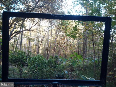 1003 Mt Zion Marlboro Rd, Lothian, MD 20711 - photo 6