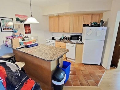 512 Green St unit 1A, Cambridge, MA 02139 - photo 3