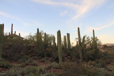 02-IMG_9815