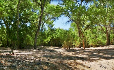 2 Box Bar Ranch at Verde River 1