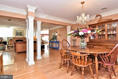 205 Loganberry Ln, Rehoboth Beach, DE 19971 - photo 5