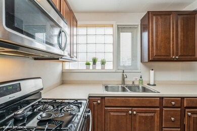 7206 Oak Ave unit 1NE, River Forest, IL 60305 - photo 6