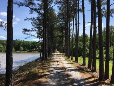 133 County Road 423, Oxford, MS 38655 - photo 3