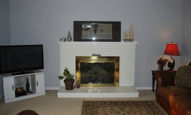 Living Room Fireplace
