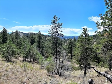 NHN Upper Sawmill Creek Rd, Cascade, MT 59421 - photo 2