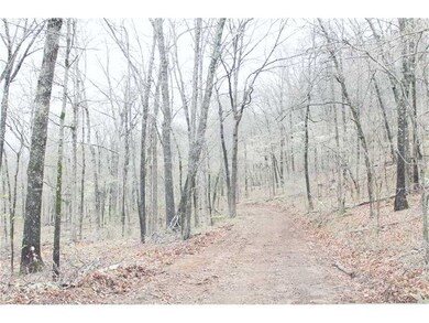0 Bug Scuffle Rd unit 704288, West Fork, AR 72774 - photo 5