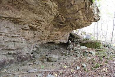 0 Cr 935 unit 1329173, Berryville, AR 72616 - photo 7