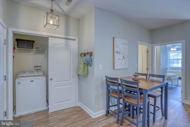 33725 Skiff Aly unit 306, Lewes, DE 19958 - photo 4