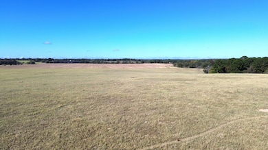 511 Private Road 6142, Grapeland, TX 75844 - photo 3