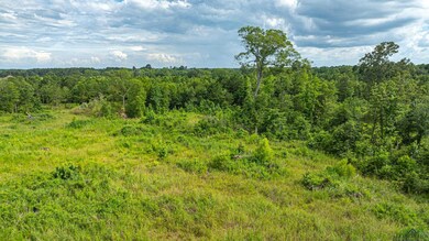 View of local wilderness featuring a forest view