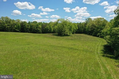 23201 Halls Rd, Richardsville, VA 22736 - photo 6