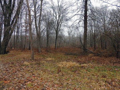 Wooded Lot