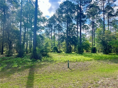 LOT 504 N Marsh Hen Rd NE, Townsend, GA 31331 - photo 3