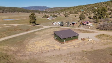 147 Apple Ct, Pagosa Springs, CO 81147 - photo 6