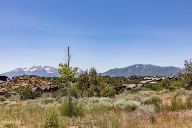 003_2884_e_brown_duck_mountain_cir002_57