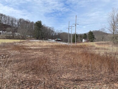 Cr 21 unit lot WP001, Elkins, WV 26241 - photo 7