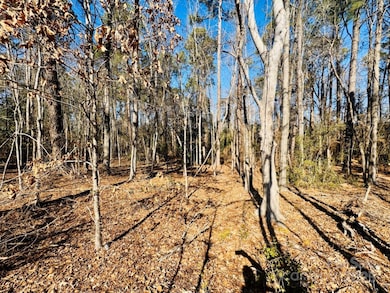 24 ac S Carolina 9, Wallace, SC 29596 - photo 5