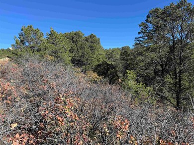 0 Wilde St, Timberon, NM 88350 - photo 4