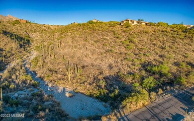 7582 N Camino Sin Vacas unit 65, Catalina Foothills, AZ 85718 - photo 6