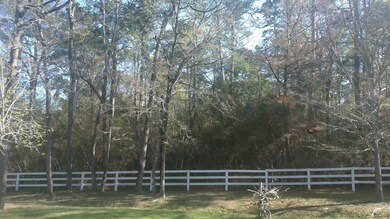 Lot 48 Pipestone Rd, Magnolia, TX 77354 - photo 5